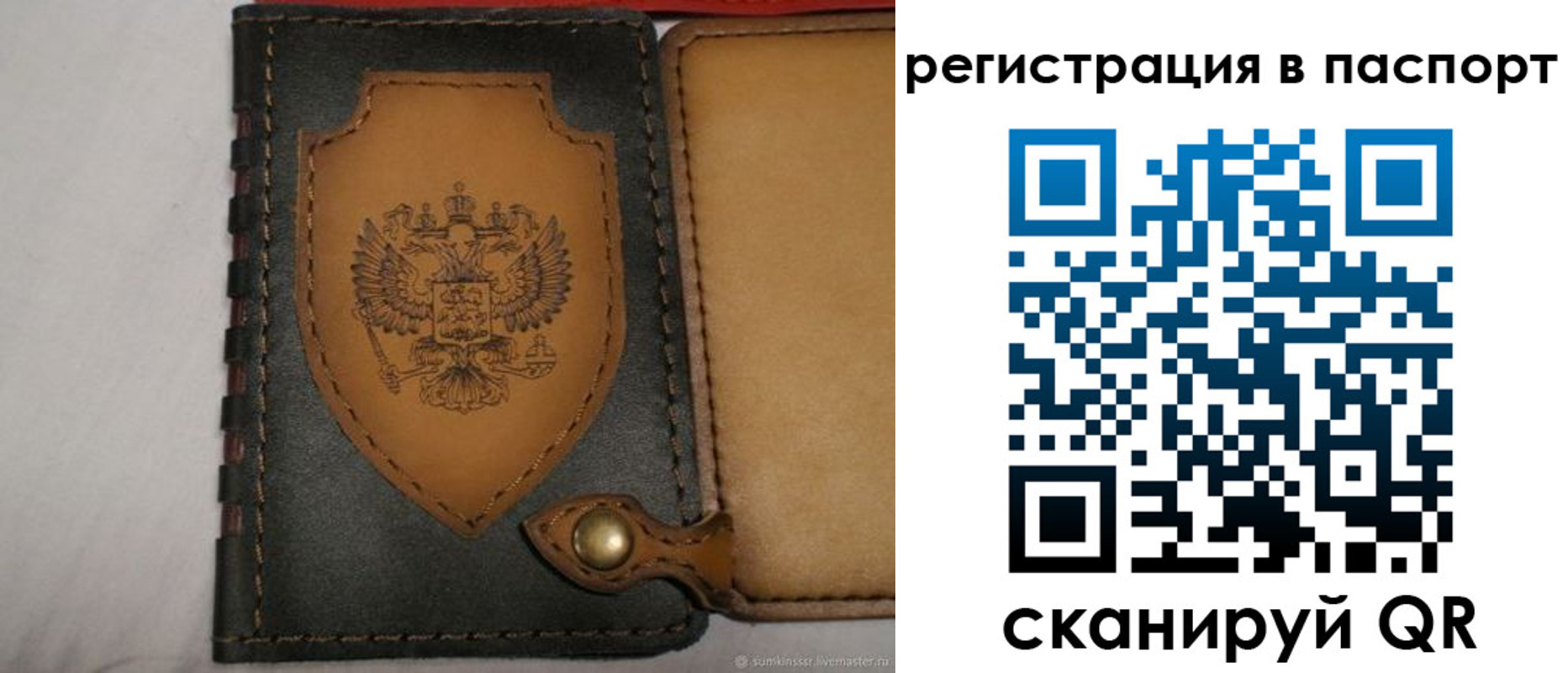 прописка поиск в Смоленской области